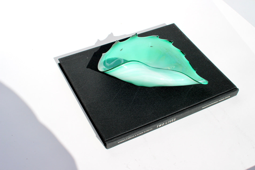 iridescent green glass shell